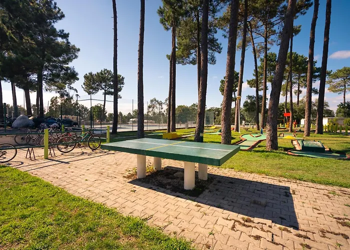 Kampaoh * سيسيمبرا